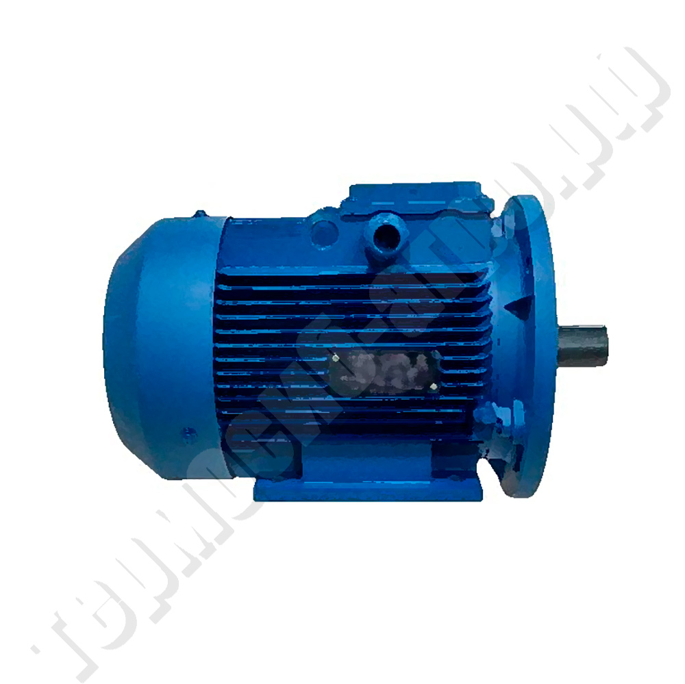 Двигатель АИР100L6(2.2кВт/1000об.)лап. Могилев